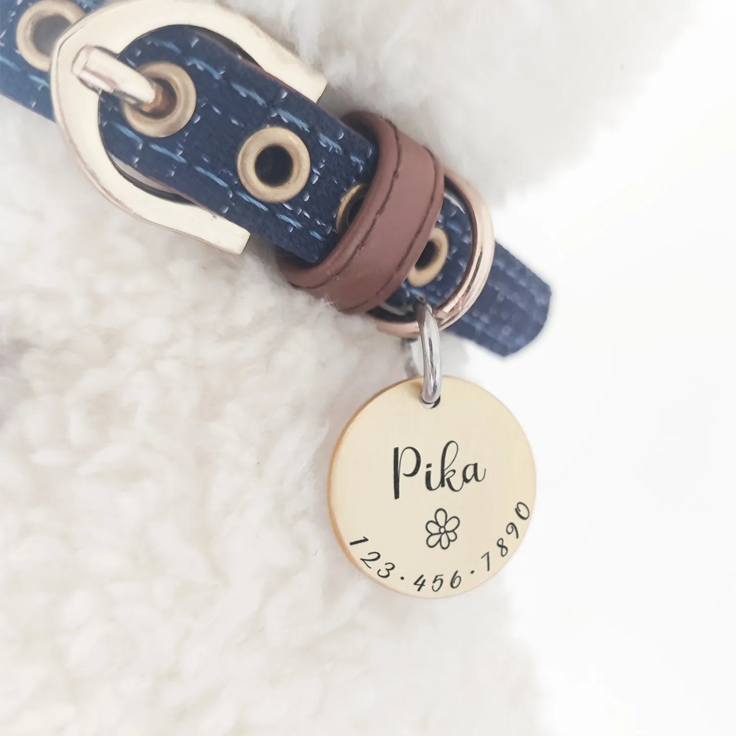 Personalized Pet Cat Dog ID Tag Collar Accessories custom