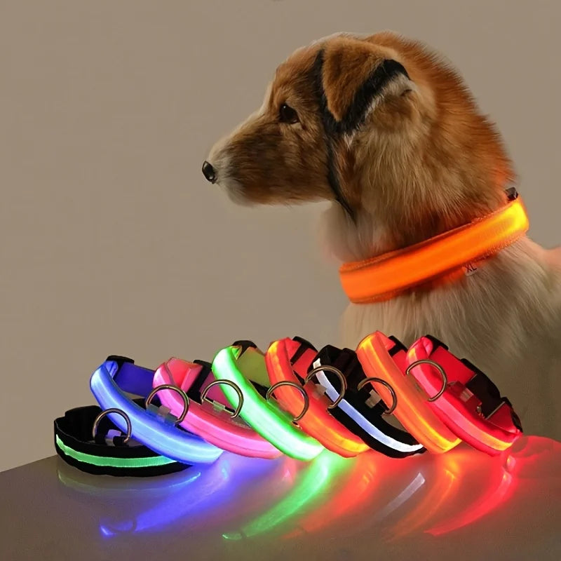 Night Safety Flashing Glow In The Dark Dog Leash