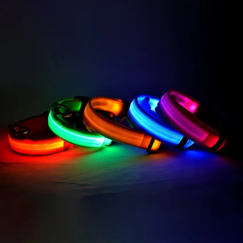 Night Safety Flashing Glow In The Dark Dog Leash