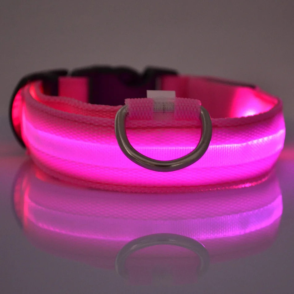 Night Safety Flashing Glow In The Dark Dog Leash