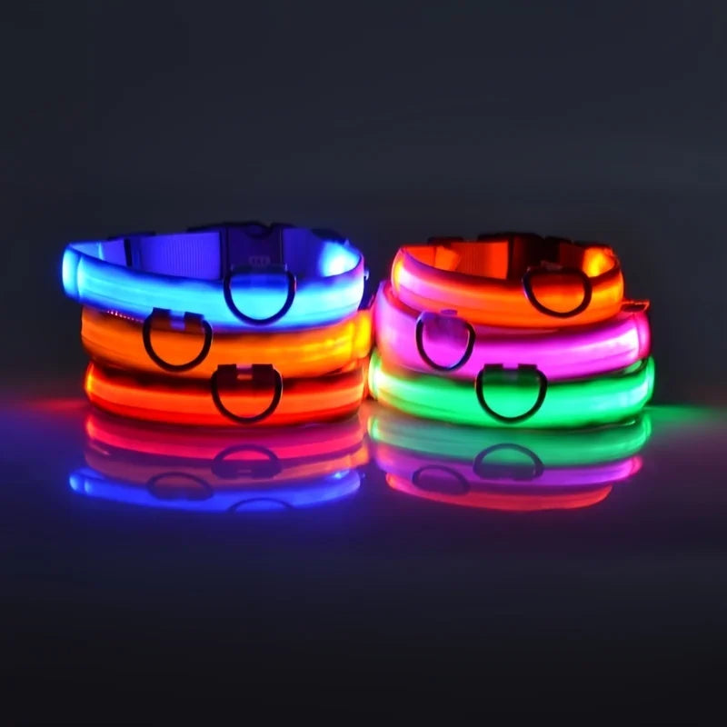 Night Safety Flashing Glow In The Dark Dog Leash